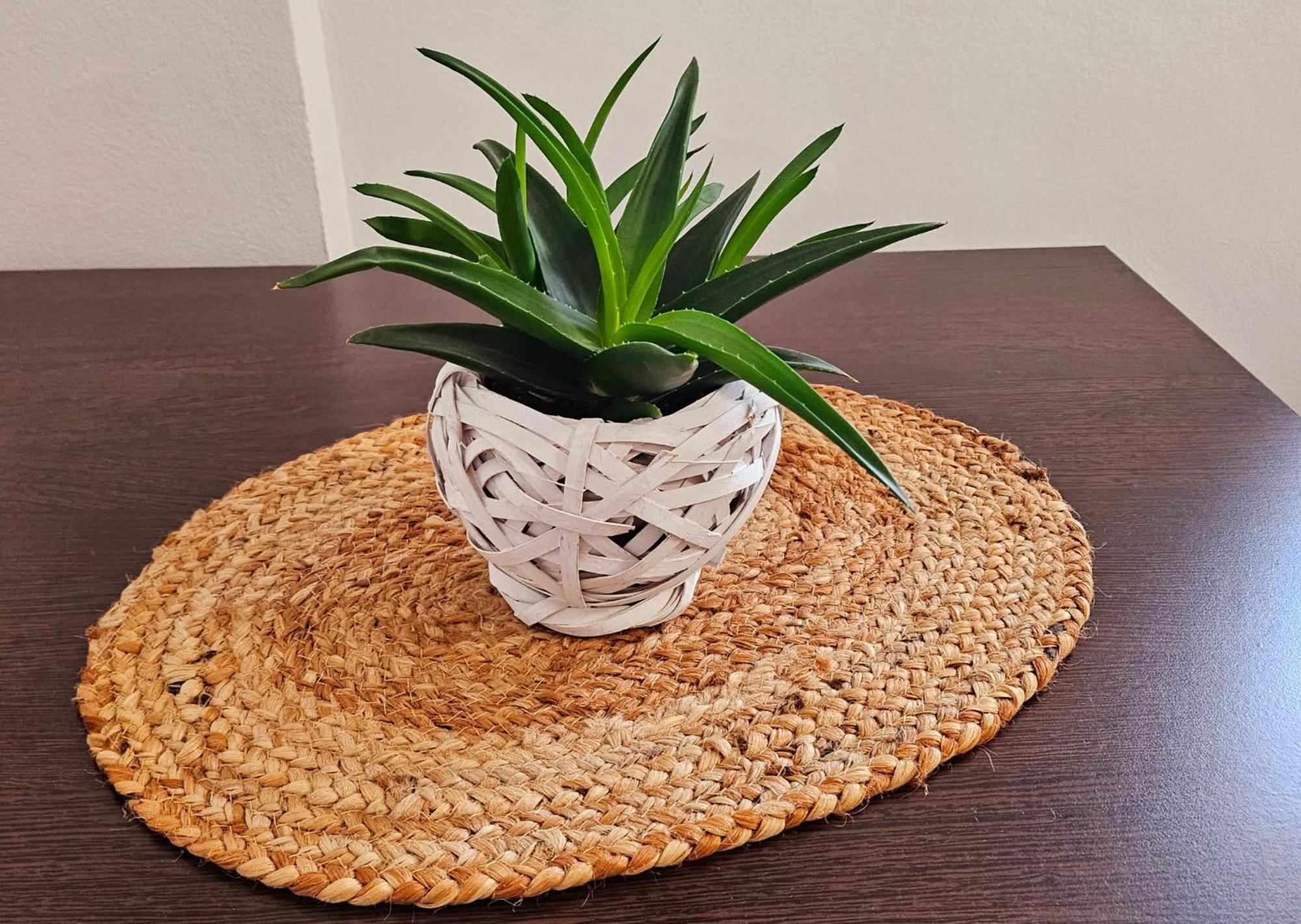 Apartamente Elegante In Regim Hotelier ياش المظهر الخارجي الصورة